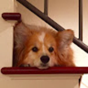 Meet your Posher, Margaret